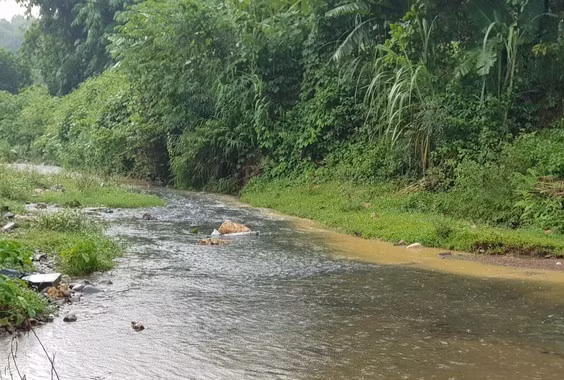 Dầu thải loang ra Suối Châm ảnh hưởng đến nguồn nước.