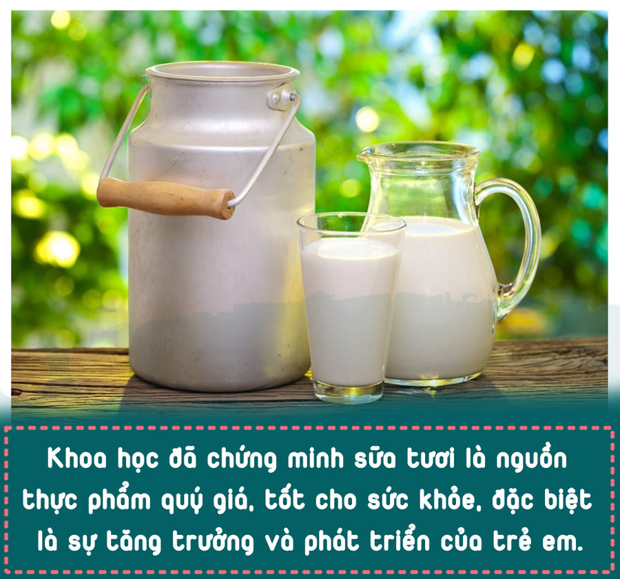 Sữa học đường hiểu sao cho đúng? - ảnh 7