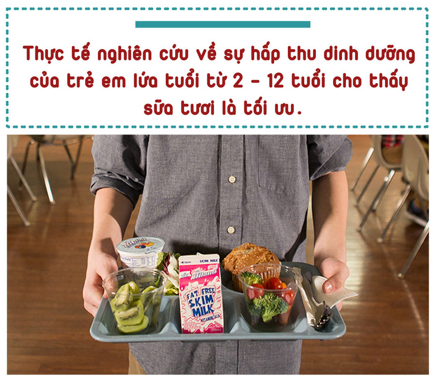 Sữa học đường hiểu sao cho đúng? - ảnh 9