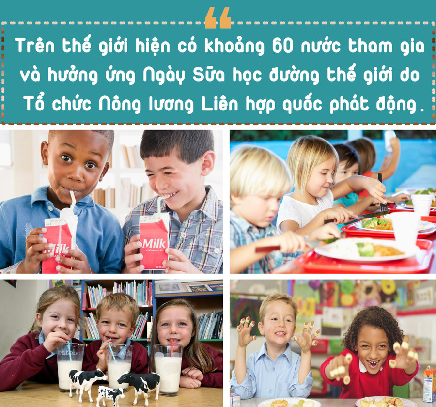 Sữa học đường hiểu sao cho đúng? - ảnh 6