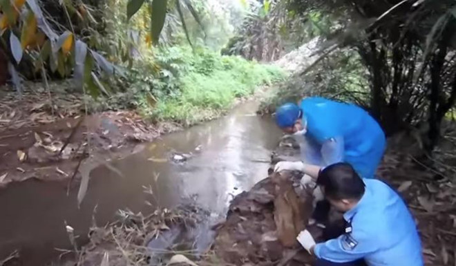 An mang nguoi dan ba duoi muong nuoc va tieng keu cuu luc nua dem hinh anh 1 