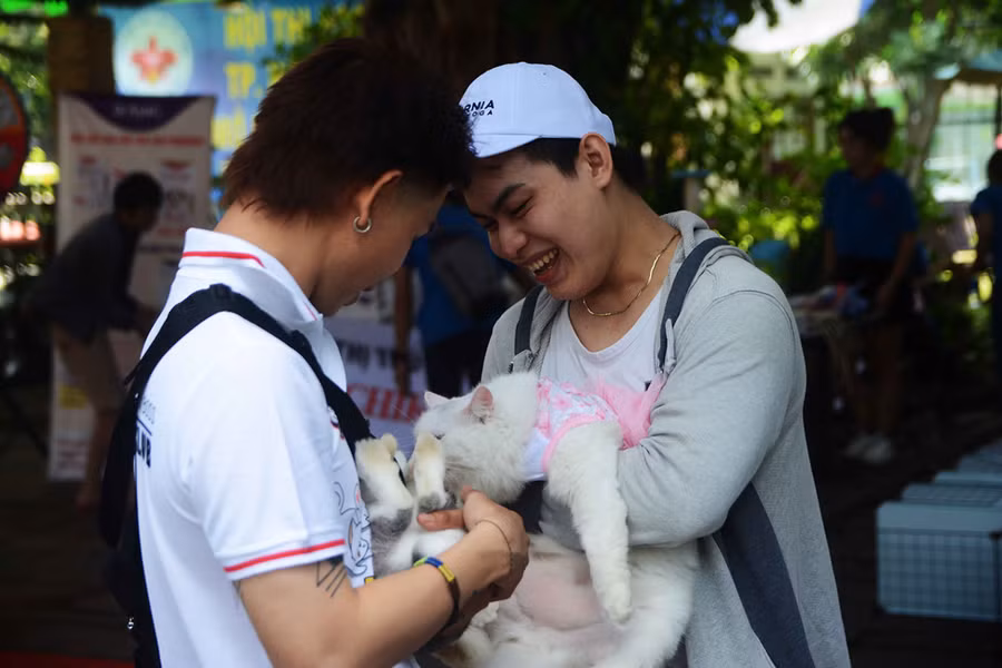 Người Sài Gòn đổ xô đi xem những con mèo nghìn USD - ảnh 3