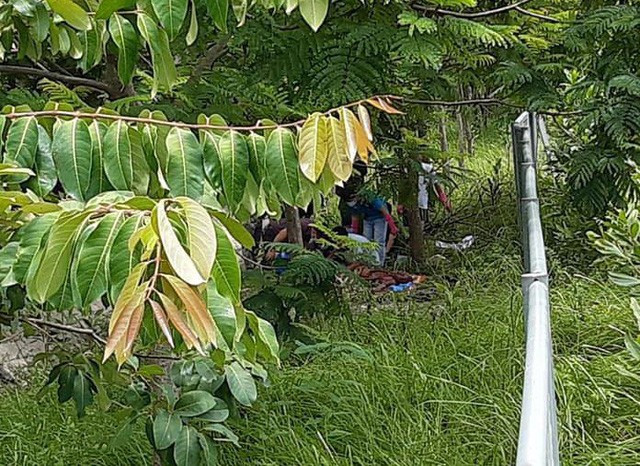 Phát hiện thi thể đàn ông phân hủy bên đường ra sân bay Nội Bài - Ảnh 2. Phát hiện thi thể đàn ông phân hủy bên đường ra sân bay Nội Bài - Ảnh 2.