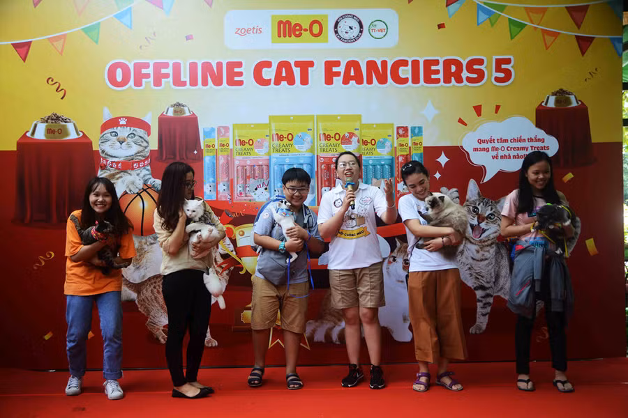 Người Sài Gòn đổ xô đi xem những con mèo nghìn USD - ảnh 2