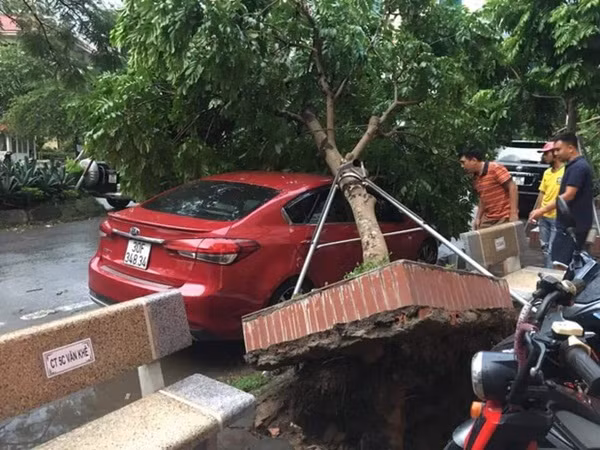 Xót xa cảnh người thân gào khóc thảm thiết tại hiện trường nam thanh niên tử vong vì cây đổ ở Hà Nội-2