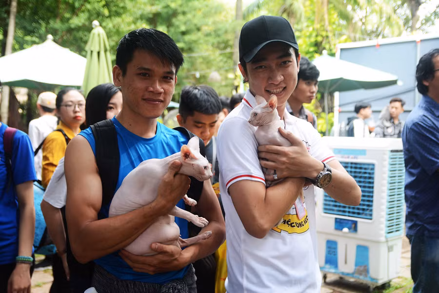 Người Sài Gòn đổ xô đi xem những con mèo nghìn USD - ảnh 21