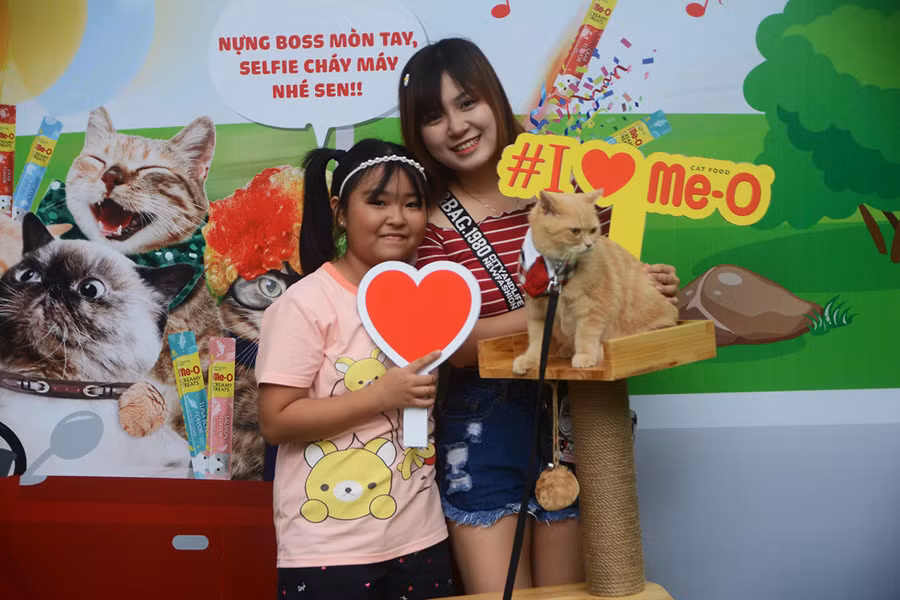 Người Sài Gòn đổ xô đi xem những con mèo nghìn USD - ảnh 12