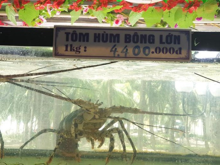 Bữa hải sản 85 triệu, khách than trời, nhà hàng nói không 