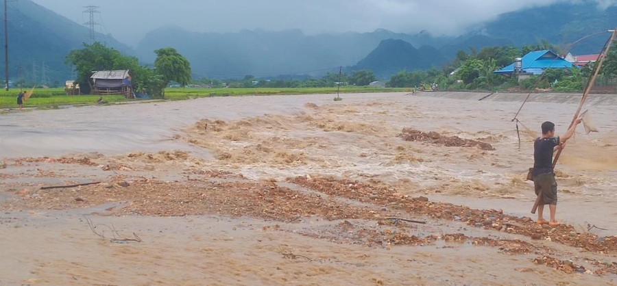 Dòng nước lũ chảy xiết ảnh hưởng hoa màu của người dân.