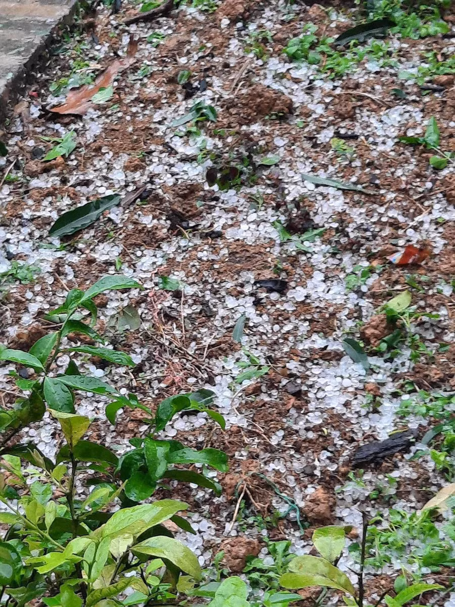 Hạt mưa đá to bằng ngón chân, gây hư hỏng mái nhà của người dân.