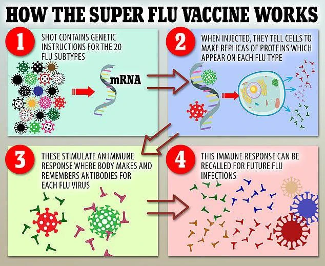 Tạo siêu vắc-xin ngừa hơn 20 loại cúm dựa trên công nghệ vắc-xin ngừa Covid. Ảnh: MSN.