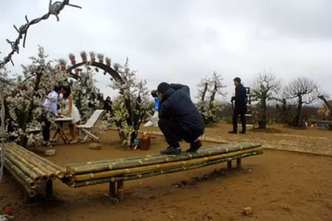 Làm phó nháy: Vào dịp Noel, lễ Tết khiến nhu cầu chụp ảnh của các bạn trẻ tăng cao. Vậy nên nếu bạn có máu nghệ thuật, lại sẵn máy, tại sao không thử làm 