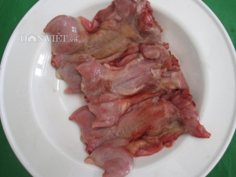 Đi giậm cù bắt chuột đồng nướng ăn chơi mùa nước nổi hình ảnh 1 di giam cu bat chuot dong nuong an choi mua nuoc noi hinh anh 1