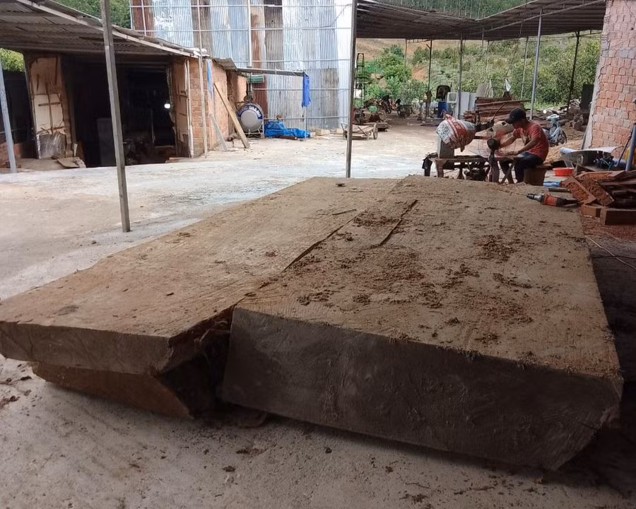 Cây gỗ ông Nam trục vớt được dưới ruộng.