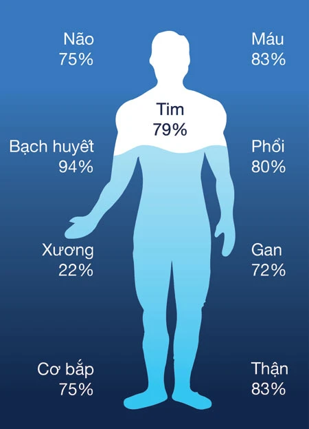 Các chất quan trọng hay bị thiếu hụt trong dịp Tết