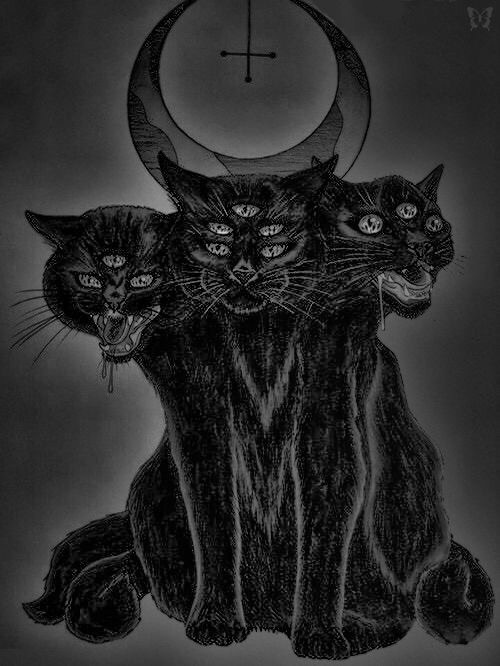 Quan niệm một số quốc gia cho rằng, mèo gắn liền với hình tượng ma quỷ và chết chóc.