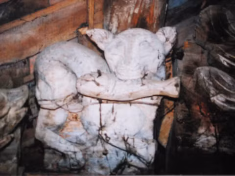 Mèo ngoạm cá ở đình Bình Lục.