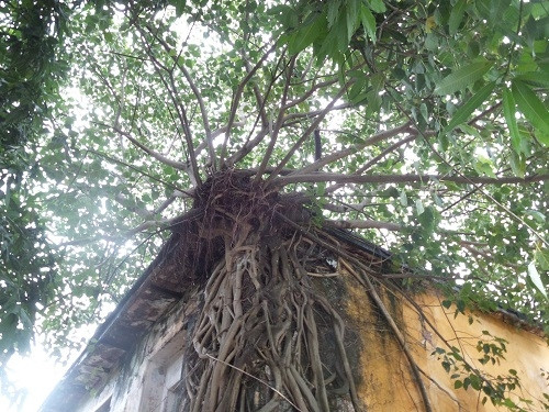 Chiêm ngưỡng di tích Trấn Hải Đài trấn giữ Biển Đông thời nhà Nguyễn - Ảnh 7 Chiêm ngưỡng di tích Trấn Hải Đài trấn giữ Biển Đông thời nhà Nguyễn - Ảnh 7