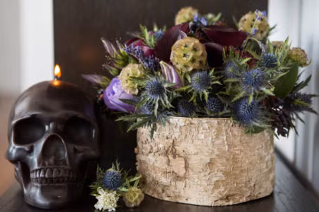 15 meo tuyet dinh giu hoa tuoi lau ma lai dep - Anh 14