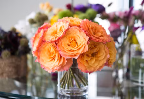 15 meo tuyet dinh giu hoa tuoi lau ma lai dep - Anh 17