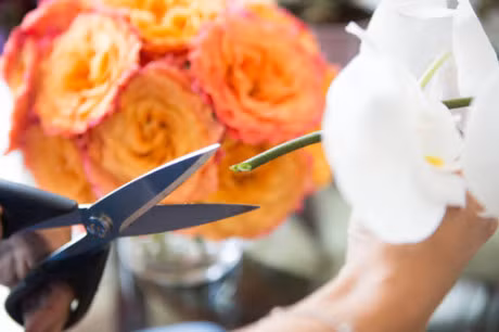 15 meo tuyet dinh giu hoa tuoi lau ma lai dep - Anh 1