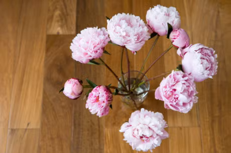 15 meo tuyet dinh giu hoa tuoi lau ma lai dep - Anh 3