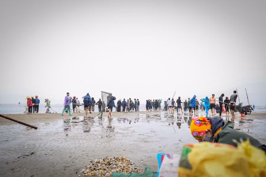 Những ngày gần đây, vùng biển thuộc xã Thịnh Lộc xuất hiện hàng tấn sò lông trôi dạt vào bờ. Từ sáng sớm, hàng trăm người dân đã có mặt tại đây để vớt “lộc biển” mặc thời tiết lạnh giá. Vợt, xô nhựa, bì tải,… là những gì họ mang theo (Ảnh: Thu Nhường).