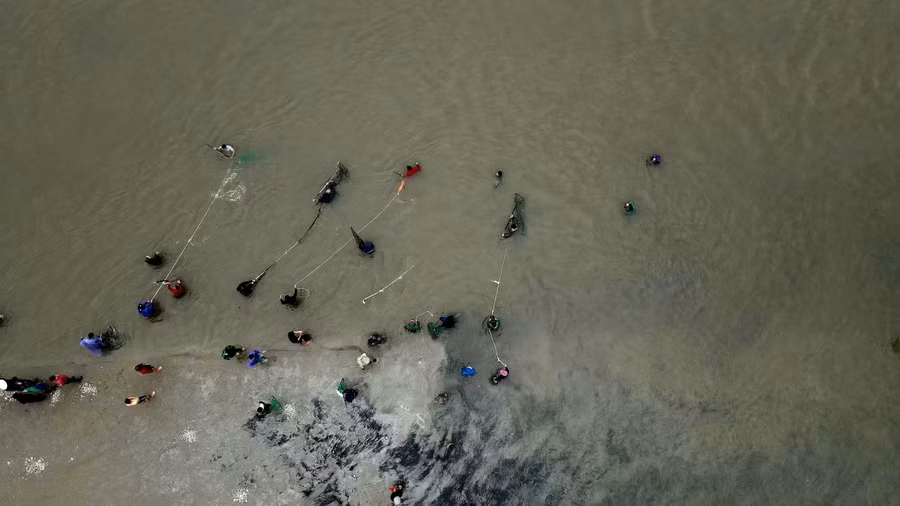 “Sóng biển lớn nên chúng tôi phải dùng dây buộc vào người, sau đó bơi ra xúc sò. Mỗi lần xúc sò lông phải ngâm mình trong nước khoảng 10 phút, công việc này đòi hỏi người phải có sức khỏe và chịu được rét”, anh Hán chia sẻ. (Ảnh: Thu Nhường).
