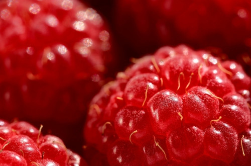 9 loại trái cây giúp giảm cân hiệu quả - Ảnh 9 9 loại trái cây giúp giảm cân hiệu quả - Ảnh 9