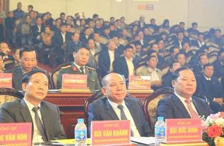 Các đại biểu tham dự hội nghị. Các đại biểu tham dự hội nghị.