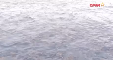 Phat hien nhieu vet dau loang tai khu vuc tim kiem CASA-212 - Anh 1