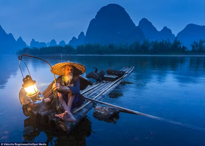 Những con chim cốc được huấn luyện để giúp ngư dân bắt cá. Sau khi bay khỏi bè, con chim sẽ lao xuống nước bắt một con cá rồi mang trở lại bè. Cách khai thác độc đáo này giúp ngư dân tiết kiệm thời gian và sức lực. Đánh cá bằng chim cốc ở làng chài 1.000 năm tuổi