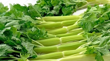 Món ăn thuốc từ rau cần tây