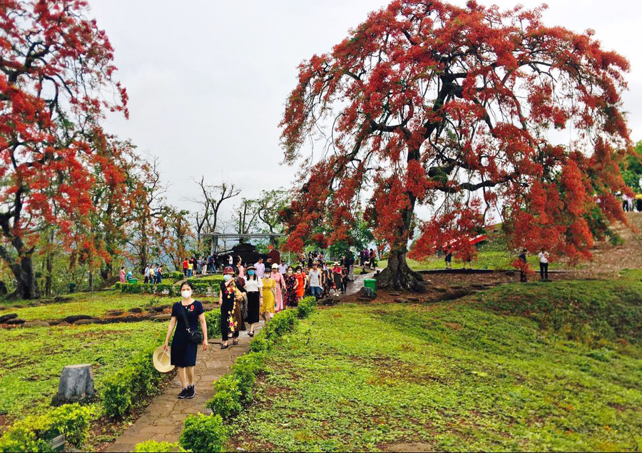 Du khách tham quan Đồi A1.