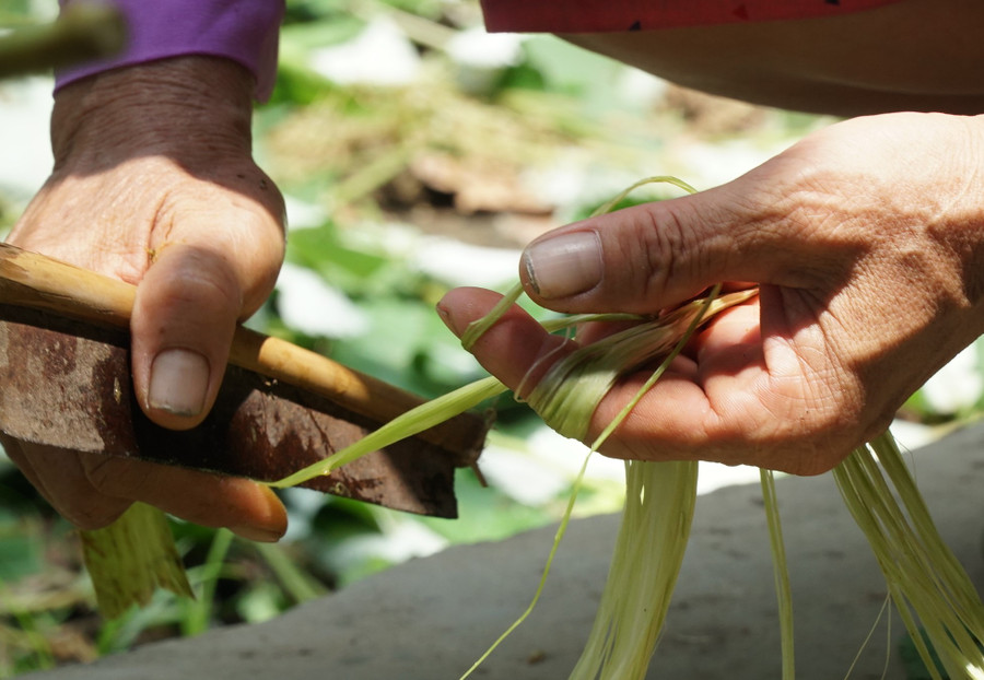 Nguyên liệu để dệt võng gai chính là sợi từ vỏ cây gai mọc nhiều ở miền núi xứ Nghệ. Nguyên liệu để dệt võng gai chính là sợi từ vỏ cây gai mọc nhiều ở miền núi xứ Nghệ.