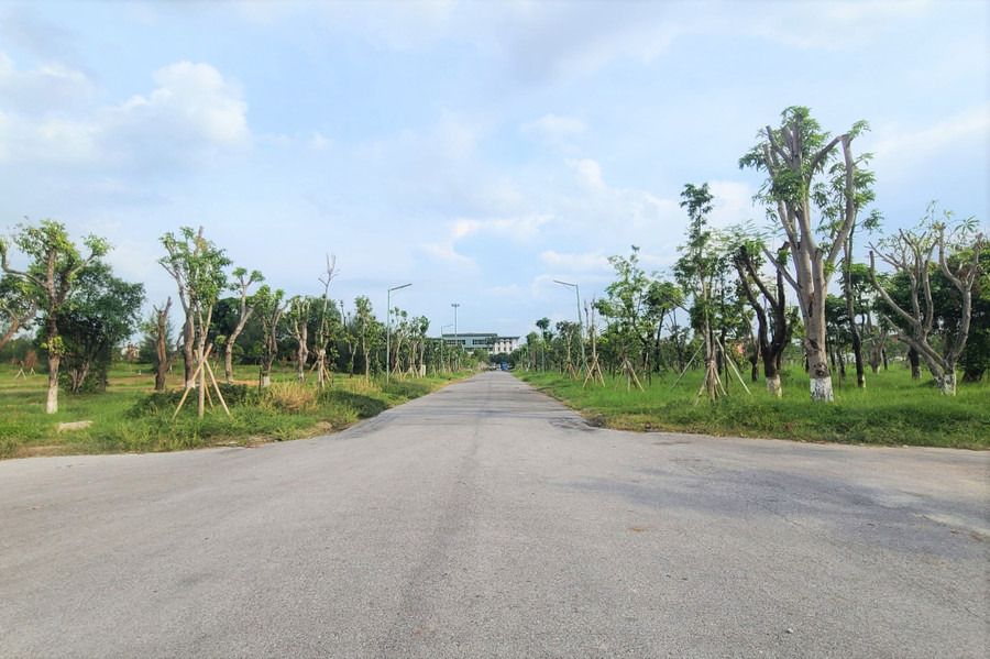 Theo dự kiến của UBND TP Hà Tĩnh, từ nay đến năm 2025tiếp tục huy động xã hội hóa nguồn lực trồng 15.000 cây xanh, trong đó: khoảng 5.000 cây tại các tuyến phố, 5.000 cây tại các công viên và 5.000 cây tại vị trí khác.