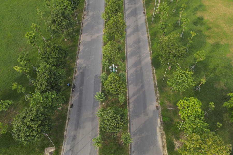 Tại Công viên Trung tâm TP Hà Tĩnh từ những bãi cỏ hoang dại, nay đã dần hình thành nên những rừng cây tỏa bóng mát, tạo không khí trong lành.