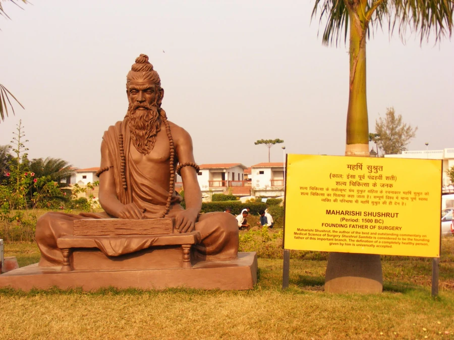 Tượng của Sushruta ở Patanjali Yogpeeth, thành phố Haridwar, Ấn Độ.