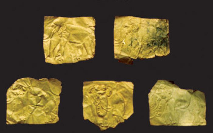 Bộ sưu tập lá vàng ở Long An không nguyên vẹn như ở Tiền Giang. Bộ sưu tập lá vàng ở Long An không nguyên vẹn như ở Tiền Giang.