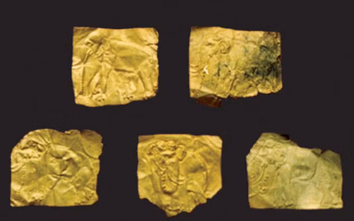 Bộ sưu tập lá vàng ở Long An không nguyên vẹn như ở Tiền Giang.