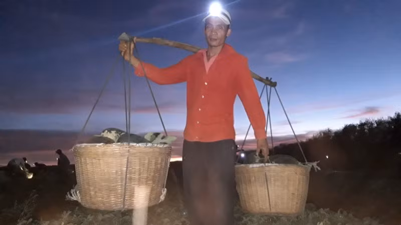 Suốt đêm, với đôi quang gánh nặng trĩu trên vai những người lao động nhọc nhằn “hái Tết”.