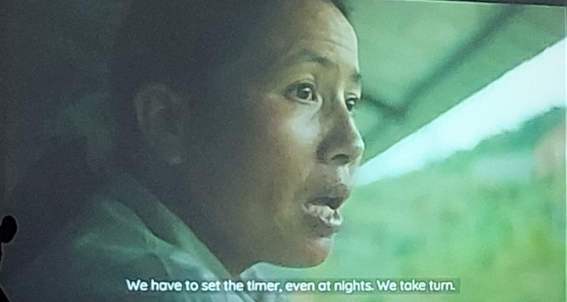 Bộ phim tài liệu &apos;Bình Yên, về nào&apos; còn ghi lại những câu chuyện của các công nhân làm việc ở Cơ sở bảo tồn gấu Ninh Bình. Ảnh: Hoàng Anh.