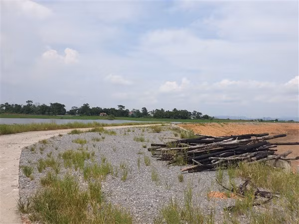 Phần khoảng trống tránh xe trên đê đá đã dạt, trơ đất và cỏ mọc um tùm