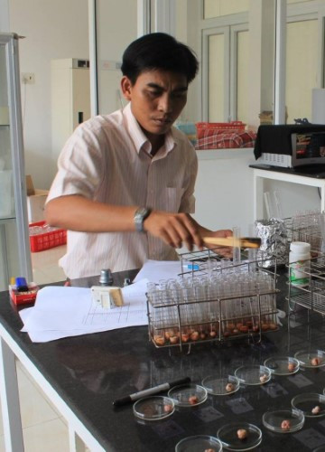 TS Trần Thanh thực hiện các phân tích đường sucrose trong mủ cao su ở phòng thí nghiệm. TS Trần Thanh thực hiện các phân tích đường sucrose trong mủ cao su ở phòng thí nghiệm.