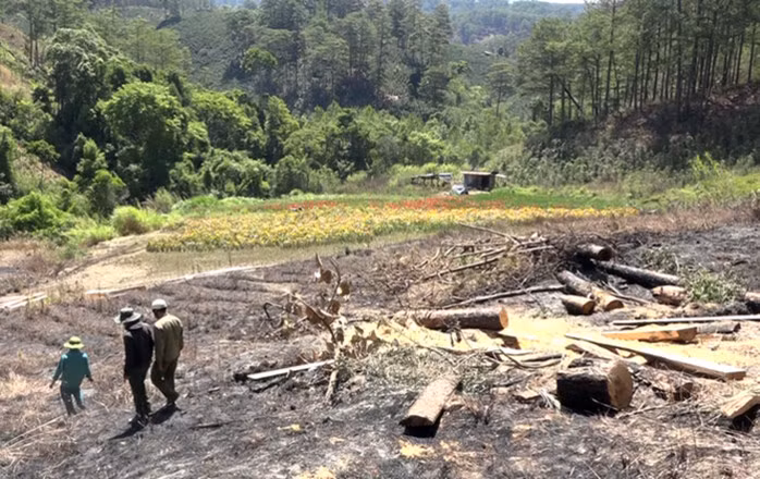 Ảnh minh họa/INT