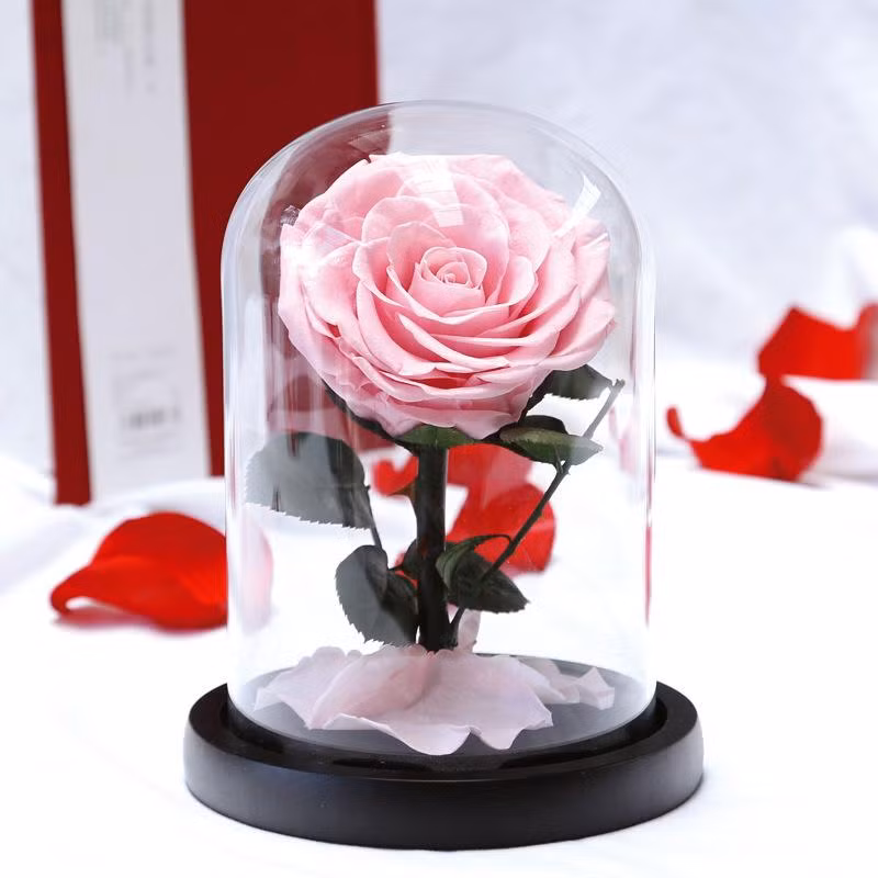 Ảnh minh họa: ITN.