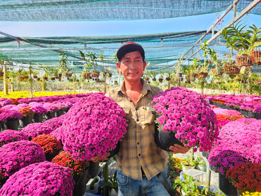 Người dân làng hoa Sa Đéc vui mừng vì trúng mùa, trúng giá hoa Tết.