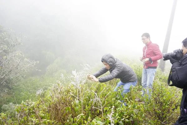 Du khách ùn ùn kéo lên ngắm băng tuyết ở Sa Pa