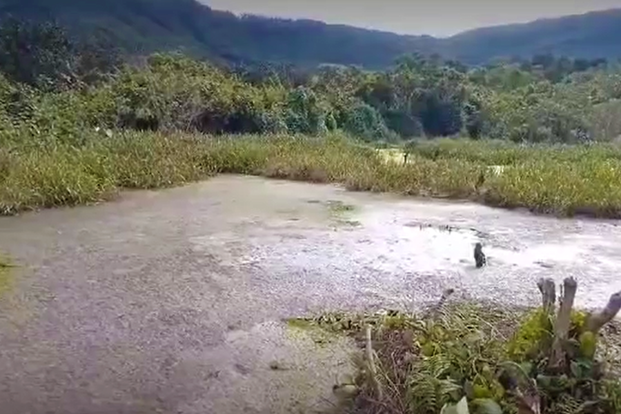 Hình ảnh người dân cung cấp cho rằng cách đây ít tháng, nước của trại lợn đen đặc xả ra khe nước chảy về đập Vực Trống (Ảnh cắt từ clip). Hình ảnh người dân cung cấp cho rằng cách đây ít tháng, nước của trại lợn đen đặc xả ra khe nước chảy về đập Vực Trống (Ảnh cắt từ clip).