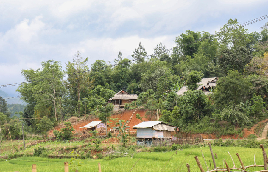 Một góc xã Pú Nhung, huyện Tuần Giáo (Điện Biên). Một góc xã Pú Nhung, huyện Tuần Giáo (Điện Biên).
